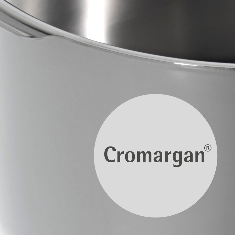 https://www.wmf.com/cdn-cgi/image/quality=85/media/.renditions/wysiwyg/Medium-Cromargan_Pressure_Cookers_300.jpg